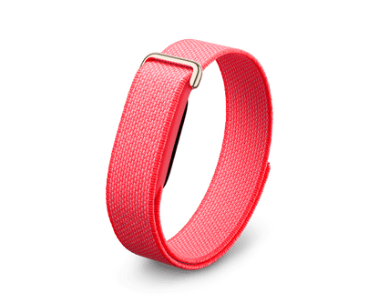 Google Fitbit Air
