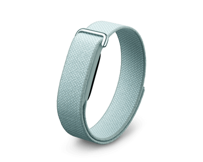 Google Fitbit Air