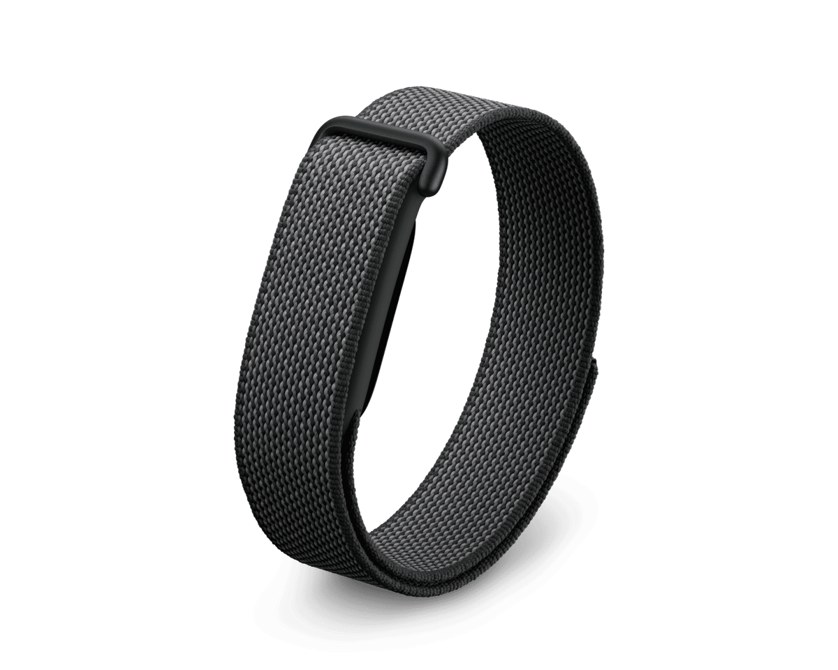 Google Fitbit Air